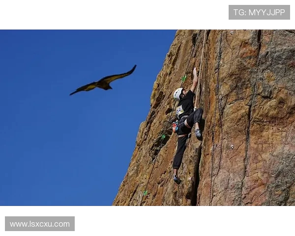 重庆街舞队在攀岩联赛中的团队协作表现分析与点评