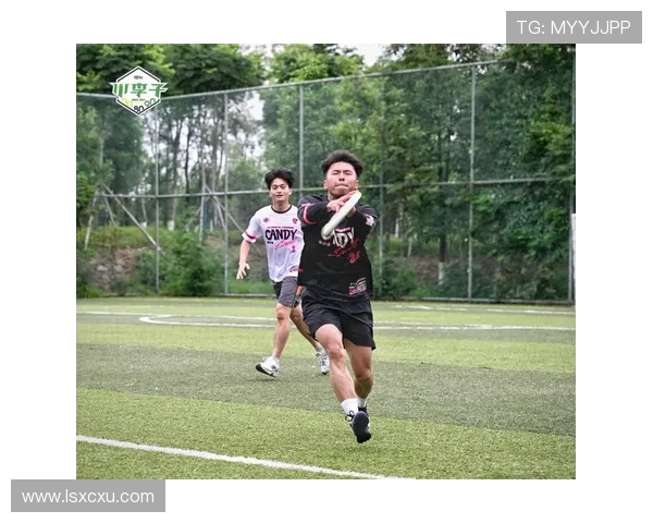 飞盘节奏排行榜揭晓北京飞盘队荣登第五名引发热议