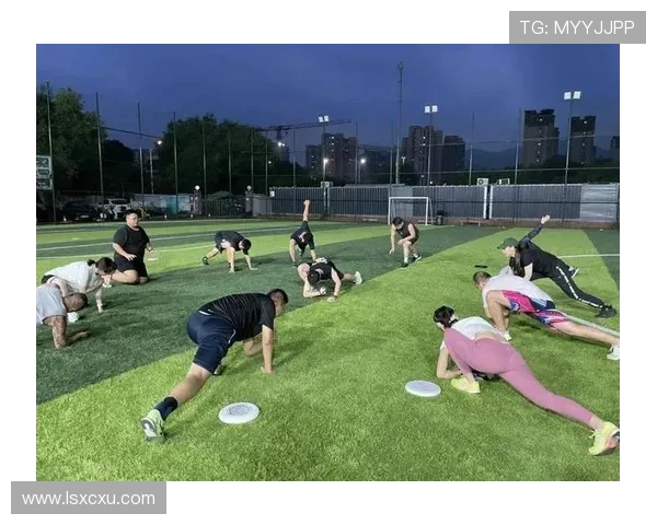 李强独家分享飞盘技巧与心得体会助你提升飞盘水平的秘诀