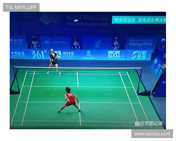 杭州羽毛球队实力分析与比赛表现评估的深度研究与探讨 杭州羽毛球队实力分析与比赛表现评估的深度研究与探讨