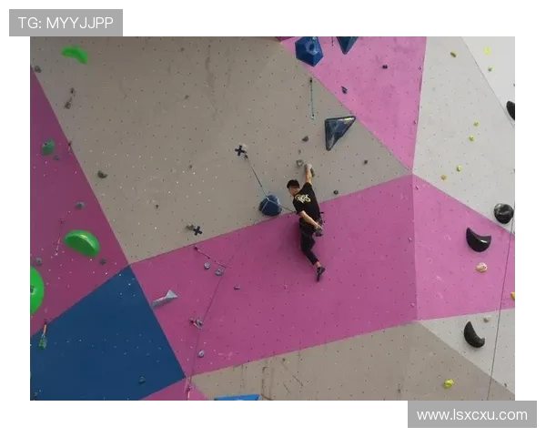 重庆攀岩队与杭州攀岩队赛后心理素质对比分析与反思 重庆攀岩队与杭州攀岩队赛后心理素质对比分析与反思