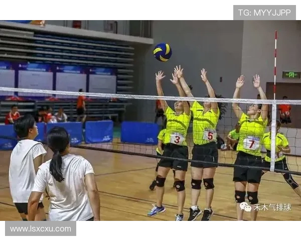 专业解读：北京排球队的中路突破打法