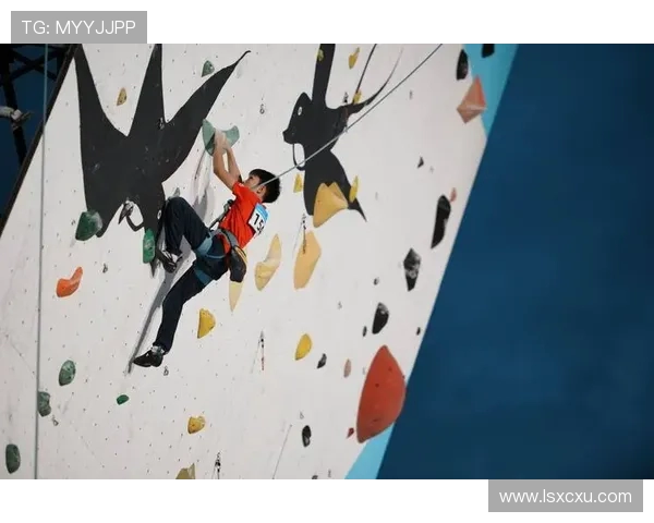 南京攀岩队的成功运营模式与发展策略深度解析 南京攀岩队的成功运营模式与发展策略深度解析