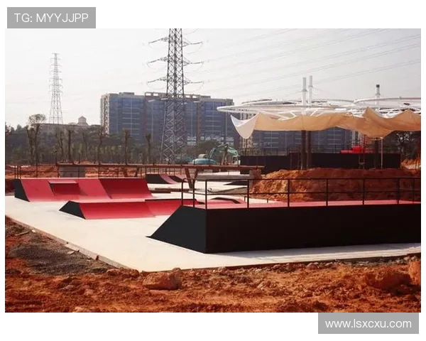 广州极限运动队引领潮流最新极限运动意识TOP10全面解析